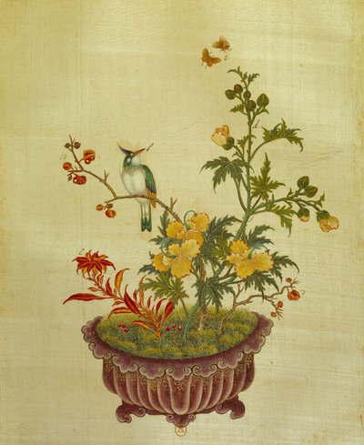 艺术中国：丝绸上的花鸟画。18世纪的无名氏。巴黎，BN 作者 学校中文