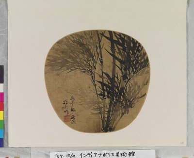 竹子 作者 学校中文