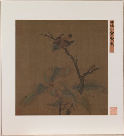 树枝上的鸟（绢本水墨和彩色） 作者 学校中文