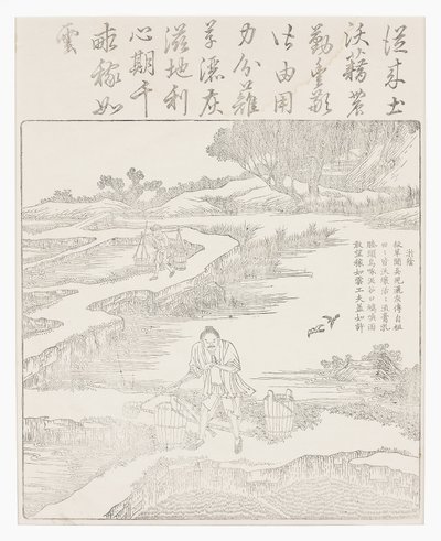 给水稻幼苗施肥 作者 学校中文