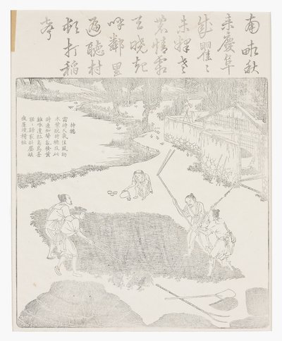 炒米饭 作者 学校中文