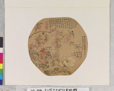 花朵和蝴蝶 作者 学校中文