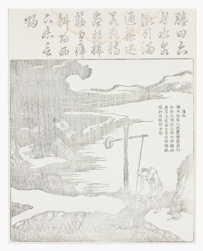 灌溉稻田 作者 学校中文