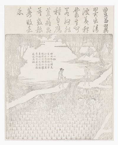 灌溉大米 作者 学校中文