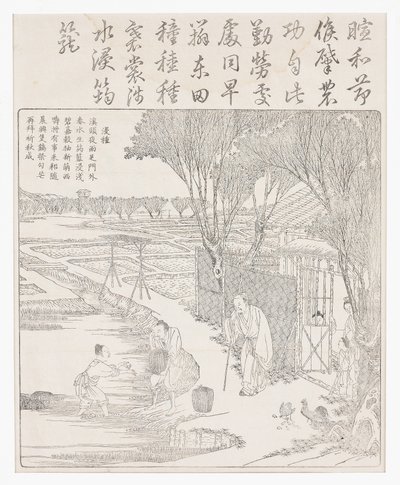 将种子米放入水中以帮助发芽。 作者 学校中文