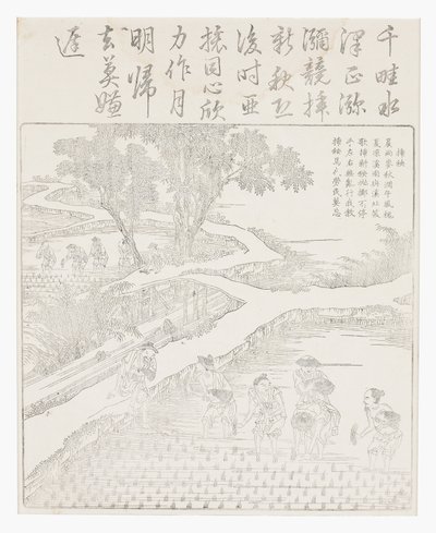 种植水稻 作者 学校中文