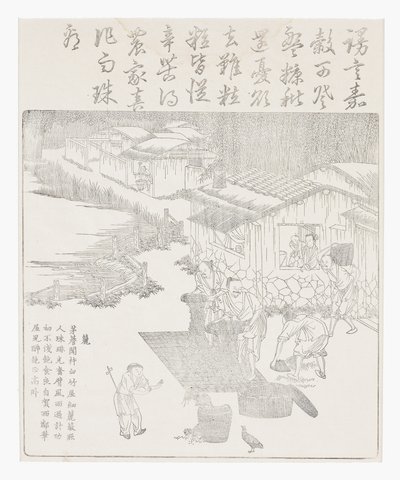 大米过筛 作者 学校中文