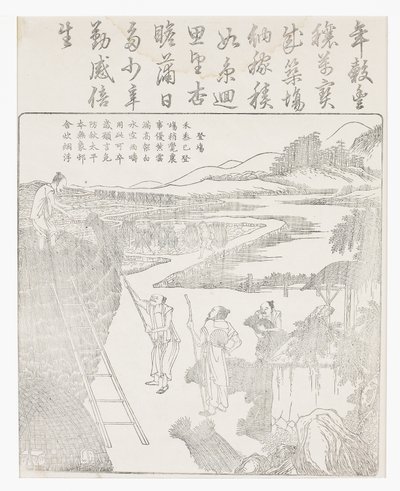 在木马上晒干后堆米 作者 学校中文