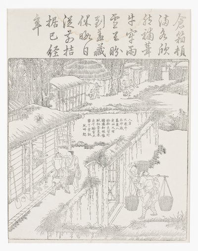 储存大米 作者 学校中文