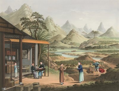 茶叶生产，约 1820 年（绢上体彩和金彩，铺在纸上） 作者 学校中文