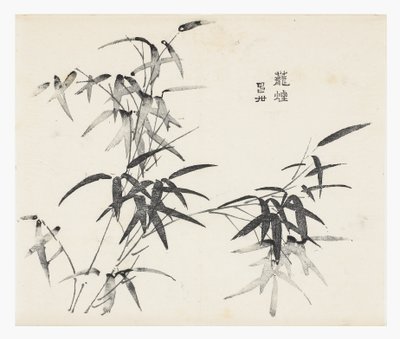 十竹系列 作者 学校中文