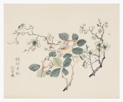十竹系列 作者 学校中文
