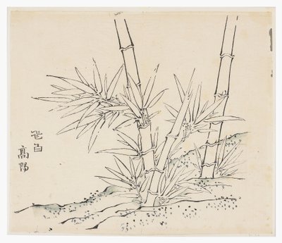 十竹系列 作者 学校中文