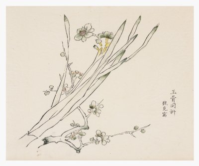十竹系列 作者 学校中文