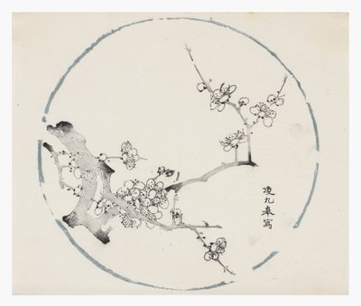 十竹系列 作者 学校中文