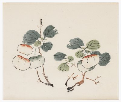 十竹系列 作者 学校中文