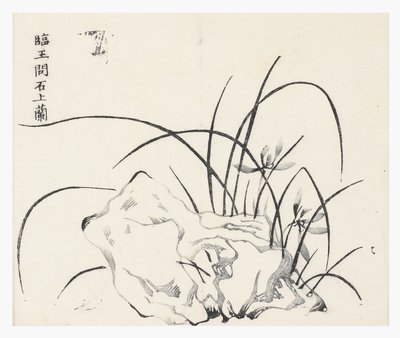 十竹系列 作者 学校中文