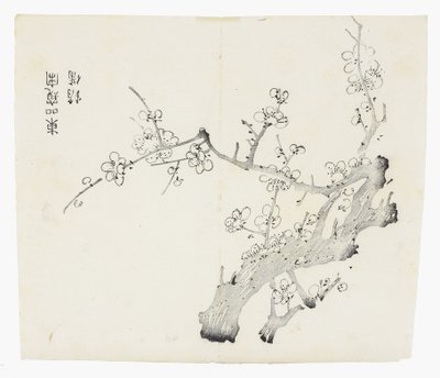 十竹系列 作者 学校中文