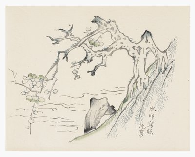 十竹系列 作者 学校中文