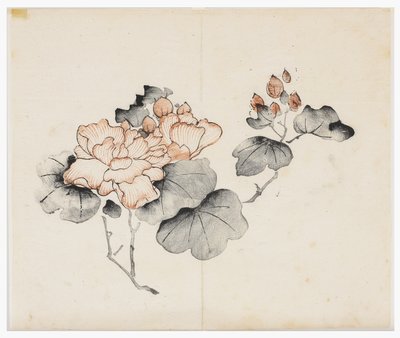 十竹系列 作者 学校中文