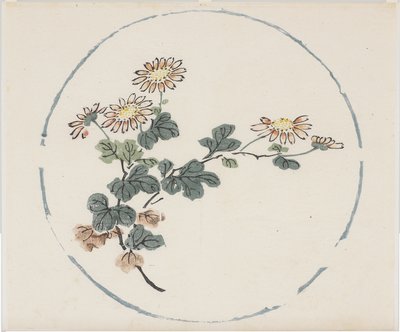 十竹系列 作者 学校中文