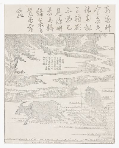 在暴风雨中耕种稻田 作者 学校中文