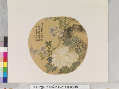 恽寿平之后的白牡丹 作者 学校中文