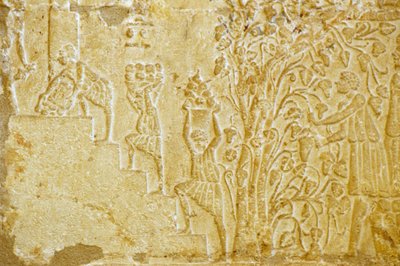 公元前 300 年，古埃及，壁雕，佩托西里斯墓，图纳埃尔吉贝尔，将葡萄运往榨酒机（照片） 作者 埃及学校