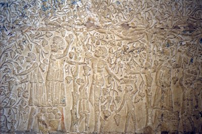 公元前 300 年，古埃及，壁雕/绘画，佩托西里斯墓，图纳埃尔吉贝尔，采摘葡萄酿酒（照片） 作者 埃及学校