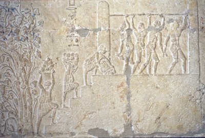 公元前 300 年，古埃及，壁雕/绘画，佩托西里斯墓，Tuna el Gebel，葡萄酒收获，葡萄酒酿造，葡萄酒压榨机（照片） 作者 埃及学校