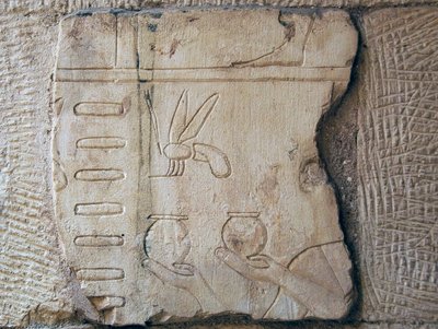Detail of a Relief, Luxor (stone) 作者 埃及学校