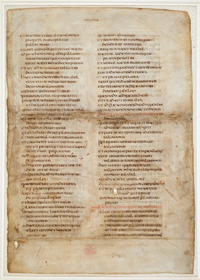 列王记中的圣经片段（"Ceolfrith 或 Ceolfrid 圣经 "中的 "格林威尔叶"）（羊皮纸上的墨迹） 作者 学校英语