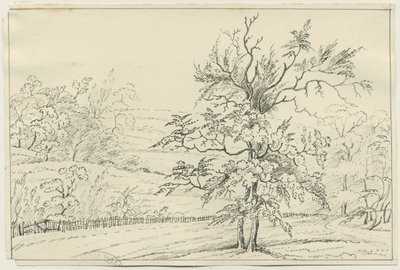 坎诺克大通：钢笔和铅笔画，nd [?19世纪](绘图) 作者 学校英语
