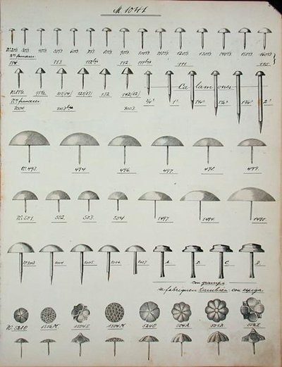 钉子、大头针和大头钉，来自国内商品和配件的贸易目录，约1890-1910年（平印）。 作者 学校英语