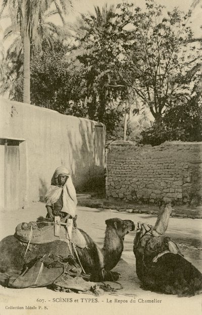 Le Repos du Chamelier, 约1890-1914 (b/w照片) 作者 法语学校