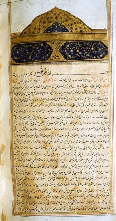 摘自阿维森纳《医学正典》(al-Qānūn fī aṭ-Ṭibb) 的页面 作者 学校伊朗人