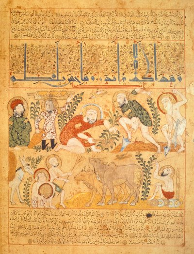 安德罗门那德罗斯，药剂师，调查农业工作，插图选自《Kitab al-Diryaq》解毒书，伪加伦著（牛皮纸） 作者 伊拉克学校