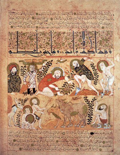 《Kitab al-Diryaq》解毒剂书中的插图，作者：Pseudo-Gallen（牛皮纸） 作者 伊拉克学校