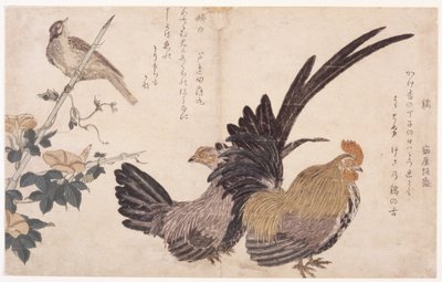 公鸡、母鸡和鸟 作者 学校日语