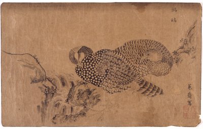 两只鸟 作者 学校日语