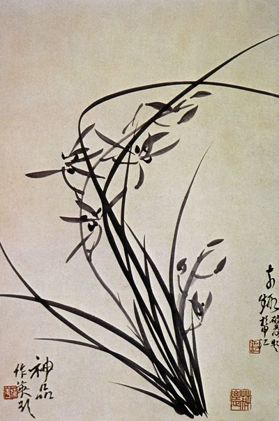 Orchidees. Corean print of the YI dynasty. 作者 学校韩语