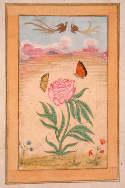 开花植物与天堂鸟和蝴蝶，来自《小克莱夫相册》（羊皮纸水粉画）。 作者 莫卧儿学校