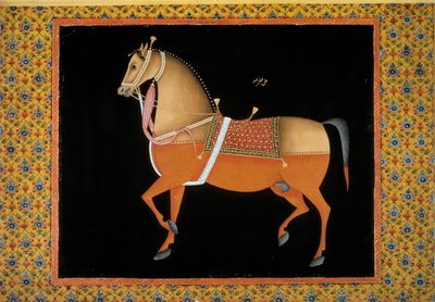 莫戈尔艺术：表现一匹骏马。18世纪水粉画。巴黎，B.N. 作者 莫卧儿学校
