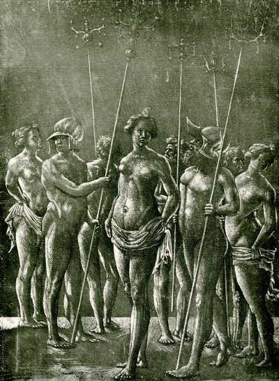 Unknown illustration after an Italian example 作者 学校荷兰语