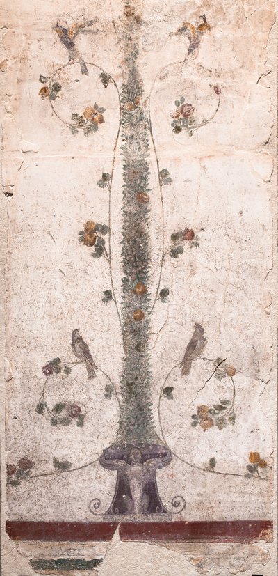 鸟类和水果 作者 校园小说