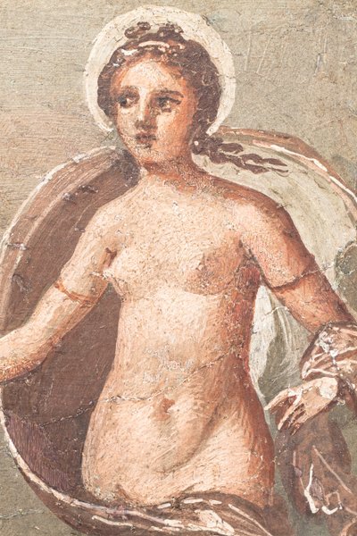 恩底弥翁和塞琳娜，赫库兰尼姆 作者 校园小说