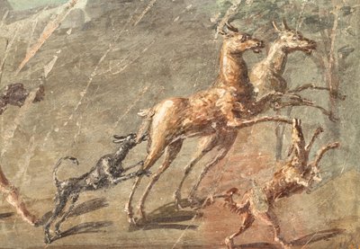 狩猎时的爱情，赫库兰尼姆 作者 校园小说