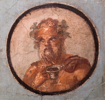 勋章肖像，庞贝古城 作者 校园小说