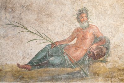 萨诺河，庞贝，圣母院 作者 校园小说