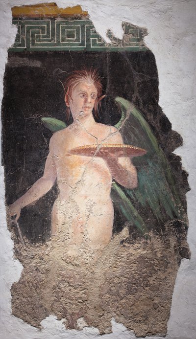 有翅膀的天才，博斯科莱莱 作者 校园小说